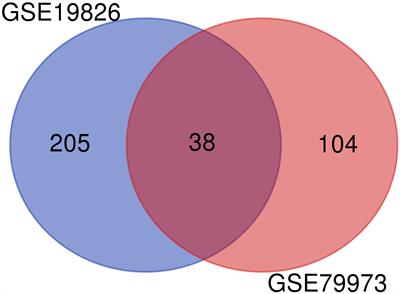 Bioinformatics and pathway enrichment analysis identified hub genes and potential biomarker for gastric cancer prognosis